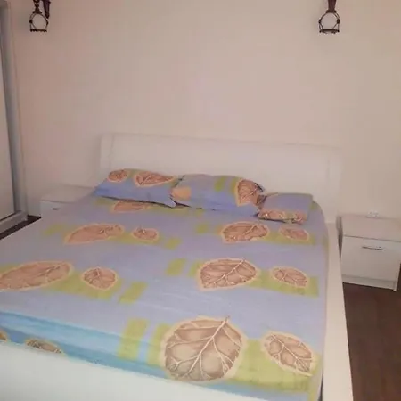 Pensión Vila Dariana *