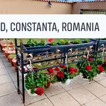 Vila Dariana