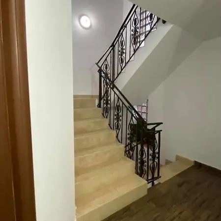 Vila Dariana Pensiune
